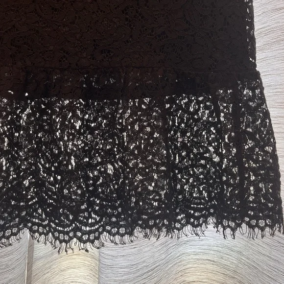 🛎️LAST CHANCE, 2/$10‼️🛎️Banana Republic lace skirt - Picture 2 of 6